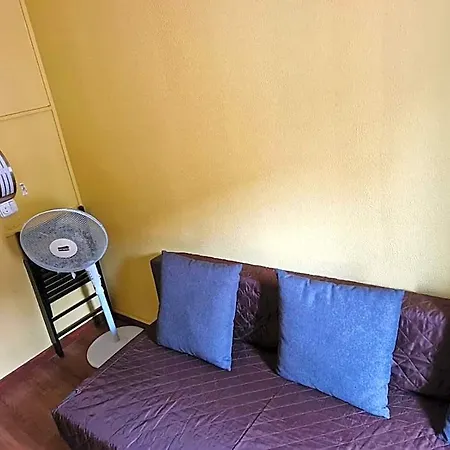 게스트하우스 Pensao Residencial Flor Dos Cavaleiros 리스본
