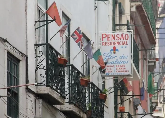 Pensao Residencial Flor Dos Cavaleiros