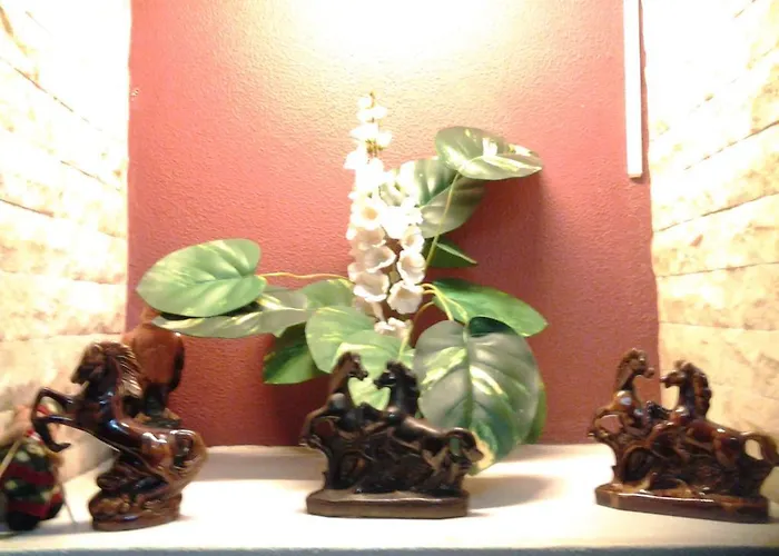 Gasthuis Pensao Residencial Flor Dos Cavaleiros 2*