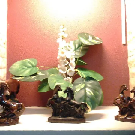 Pensionat Pensao Residencial Flor Dos Cavaleiros 2*